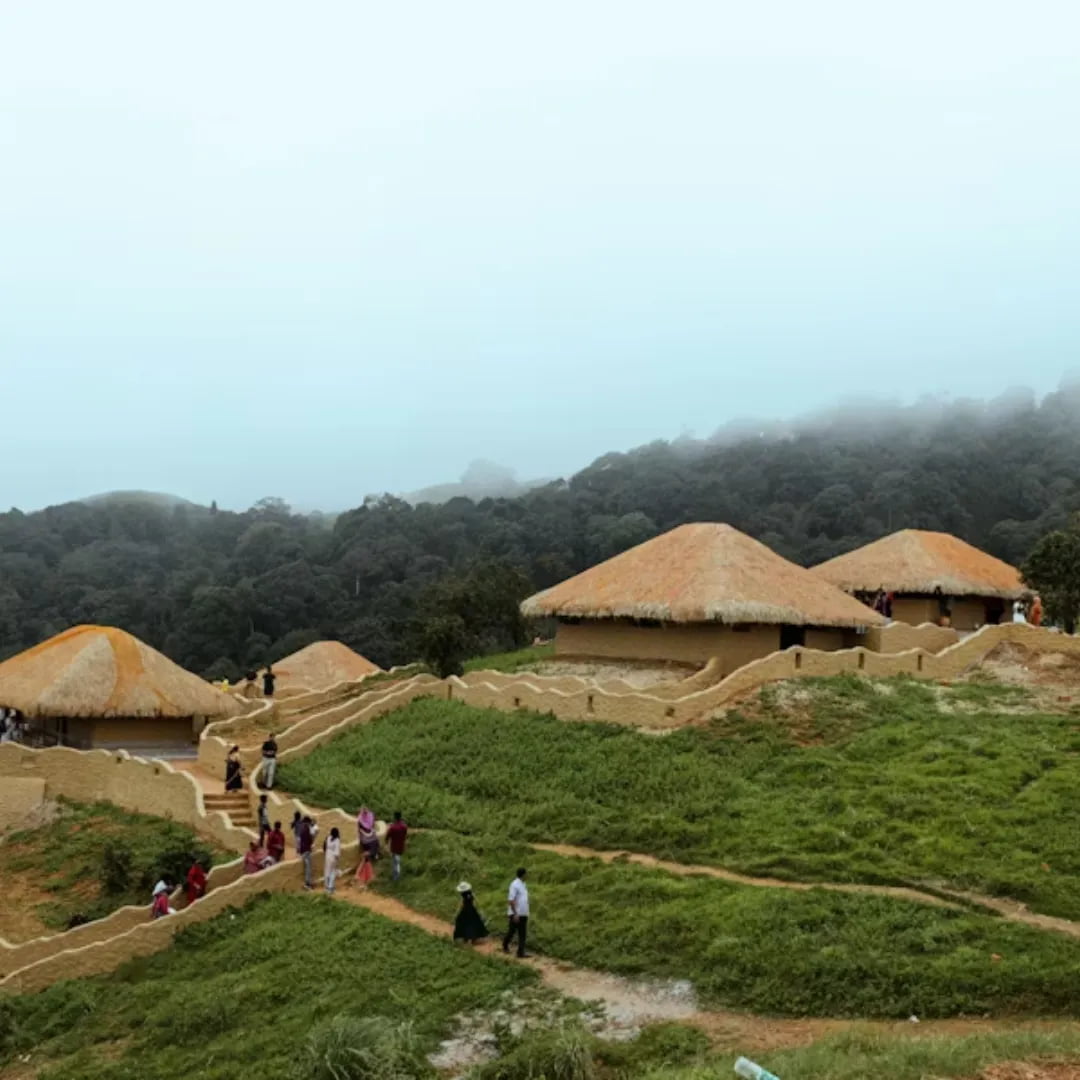 Wayanad – Wildlife Luxury