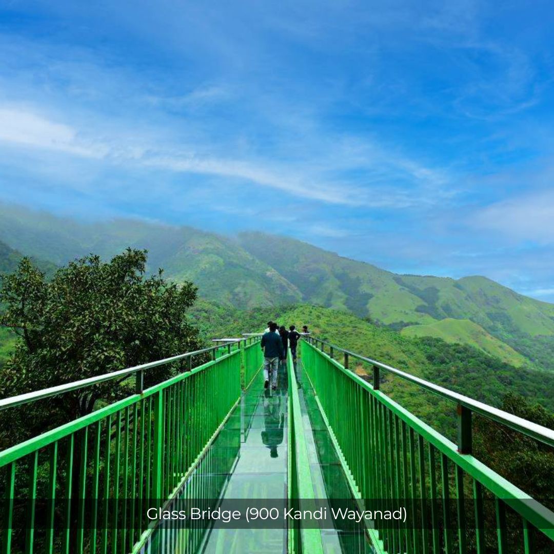 Wayanad Weekend Escape | 2D1N