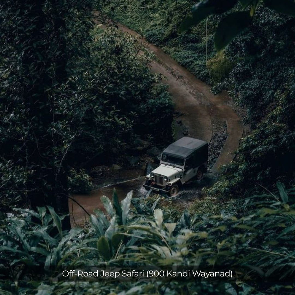 Wayanad Weekend Escape | 2D1N