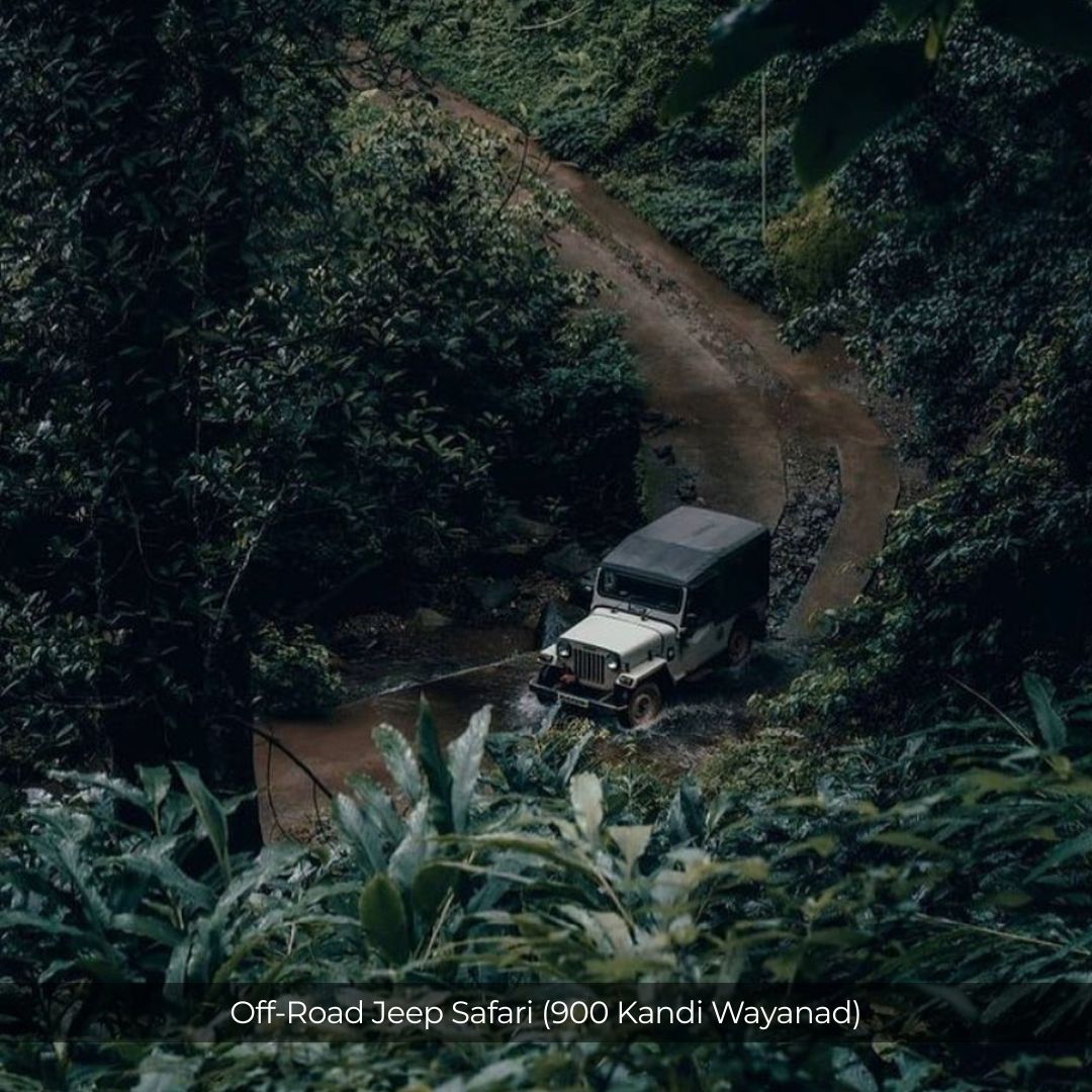 Wayanad Weekend Escape | 2D1N